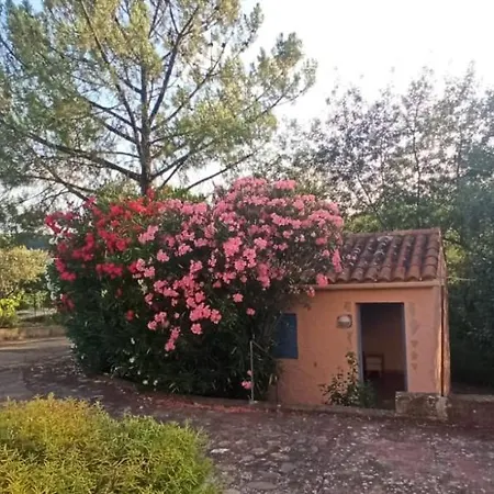 Dom wakacyjny Rose Roquebrun