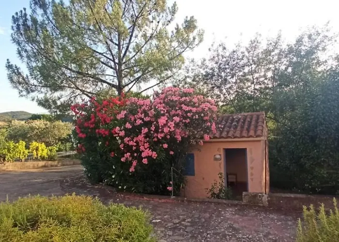 Dom wakacyjny Rose Roquebrun